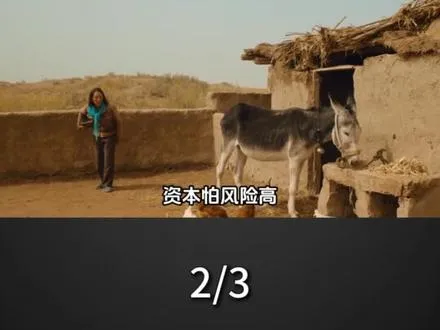 中国如今非常缺驴？其中的真相，比你想象的还要荒诞得多