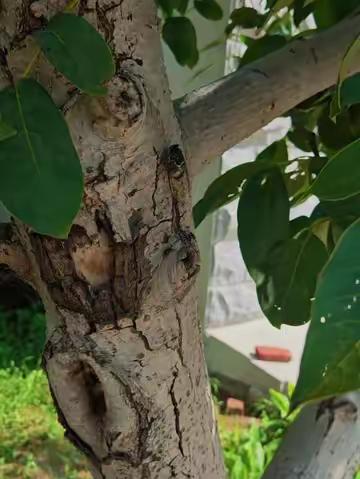 遇见就是缘分，孽缘也是缘