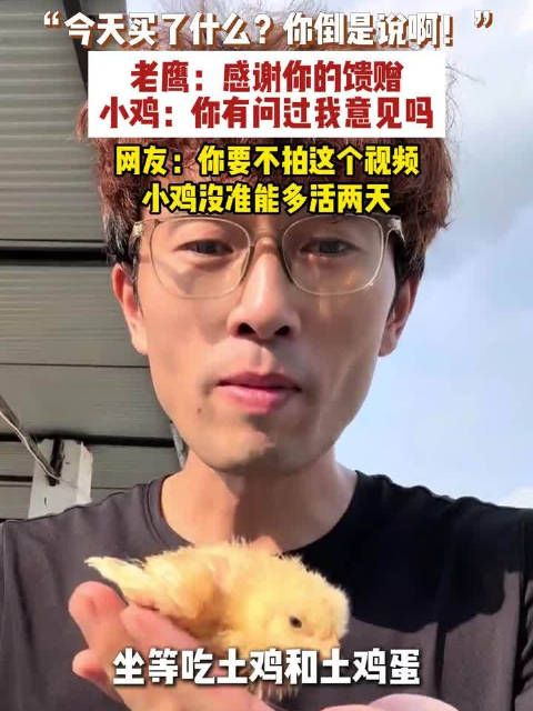 【#花钱买小鸡结果给老鹰开了个小灶】