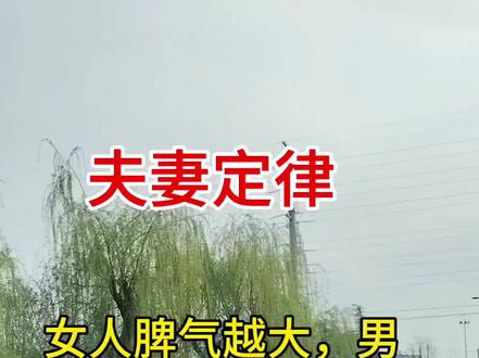 男女情感