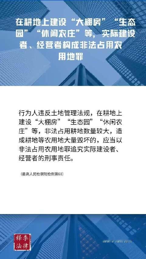 在耕地上建设“大棚房”“生态园”“休闲农庄”等，实际建设者、经营者构成非法占用农用地罪