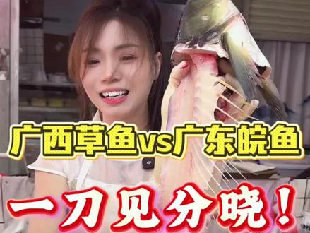广西草鱼和广东皖鱼到底哪里不一样你们知道吗？