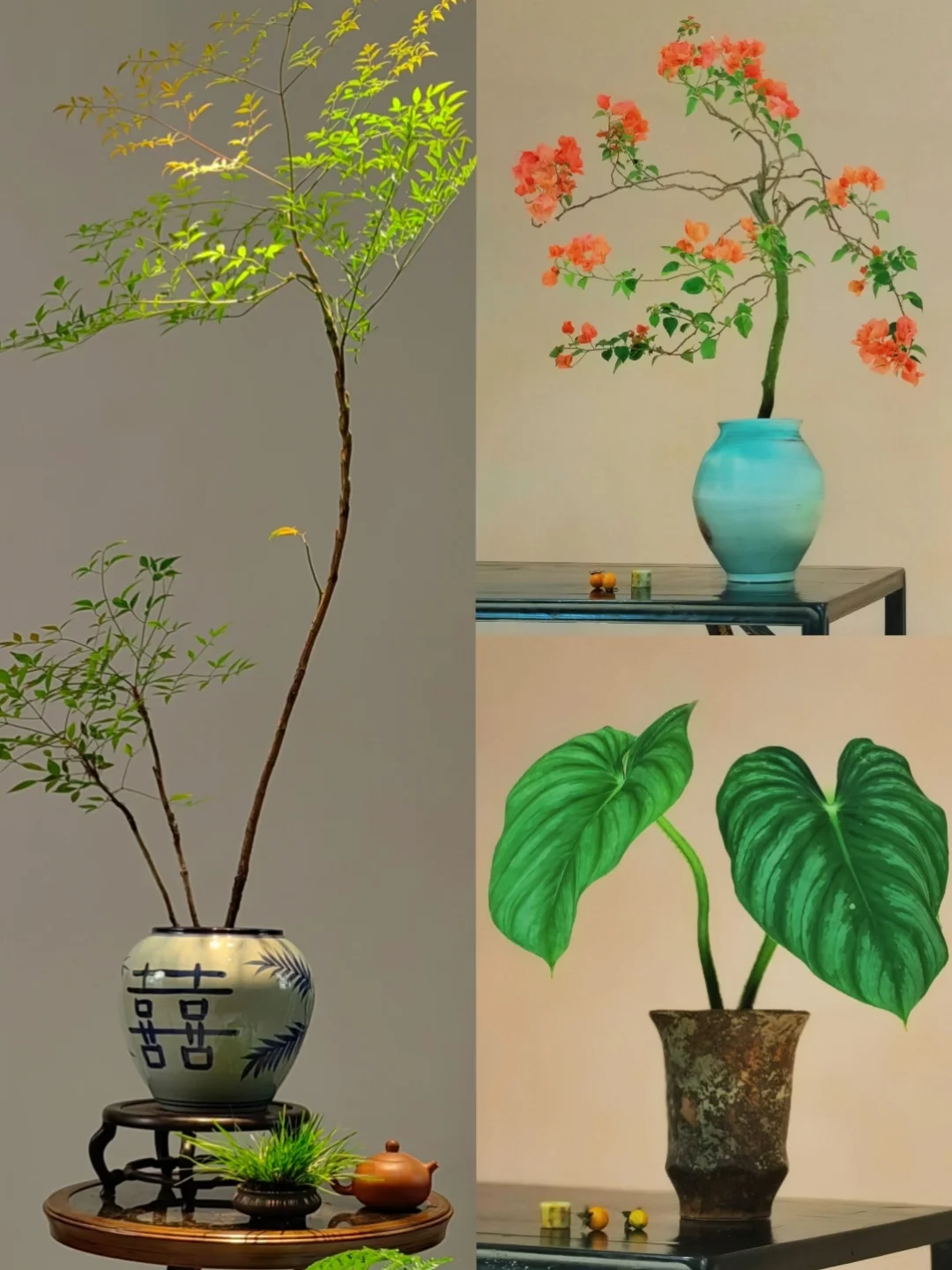 “没点艺术细胞还真刷不到我”