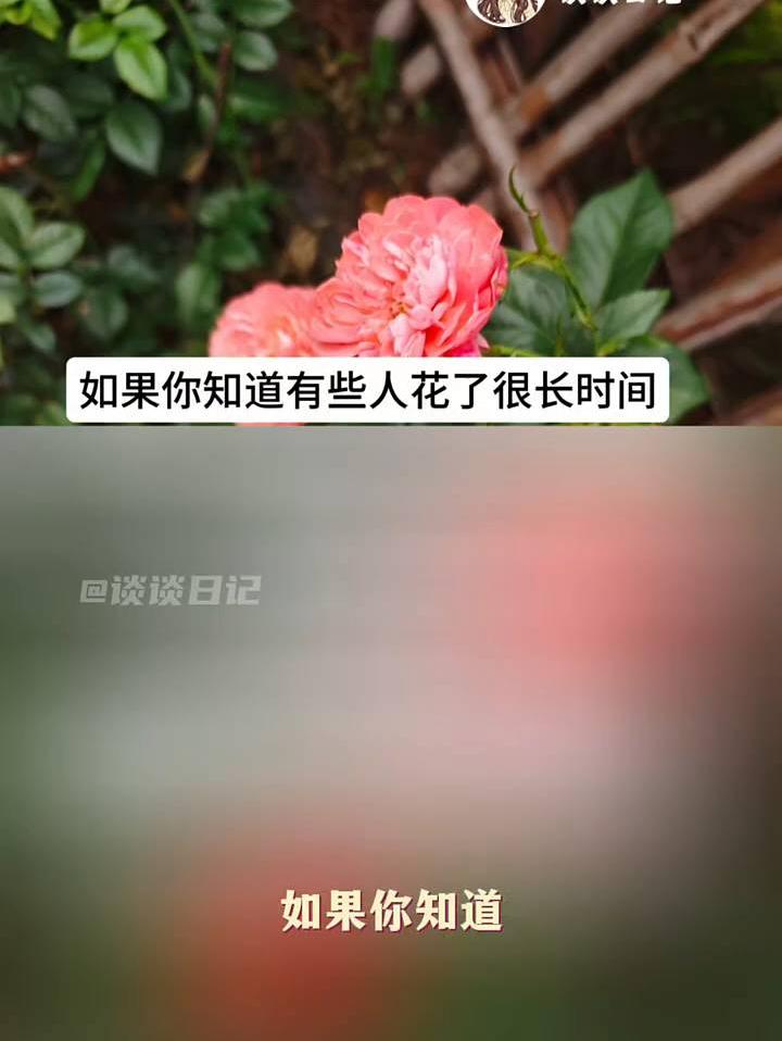 因为尝到了，不挑剔的惨烈代价。
