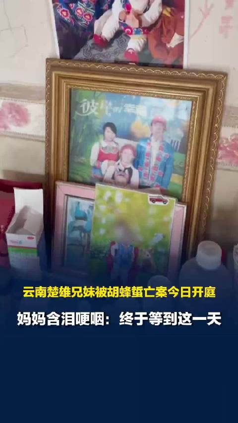 【#胡蜂蛰亡案开庭母亲称一夜没睡好#】2025年6月28日，云南楚雄。一对小兄妹在自家耕地旁因遭到同