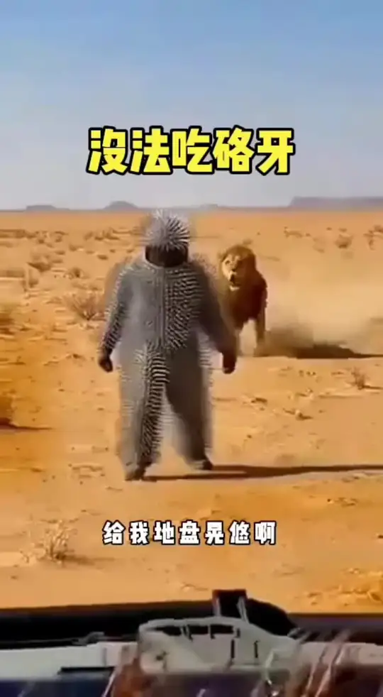 这玩意吃了硌牙