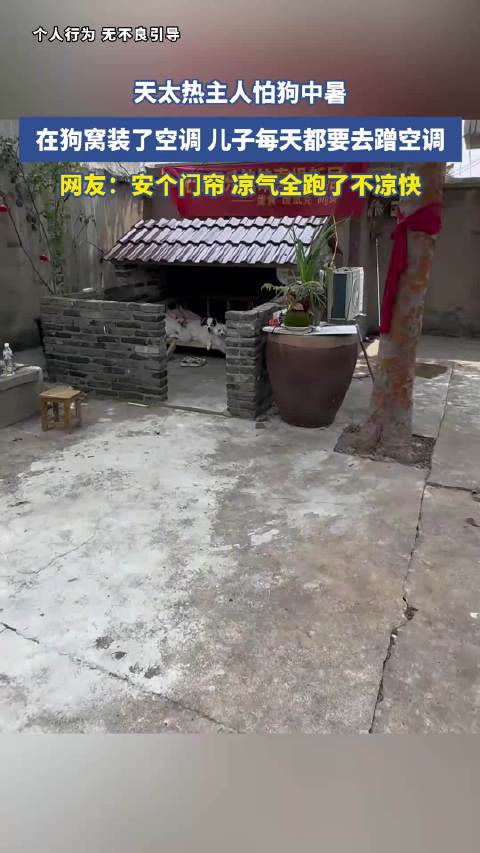 天太热主人怕狗中暑，在狗窝装了空调，儿子每天都要去蹭空调，网友：欧洲网友看了直呼羡慕