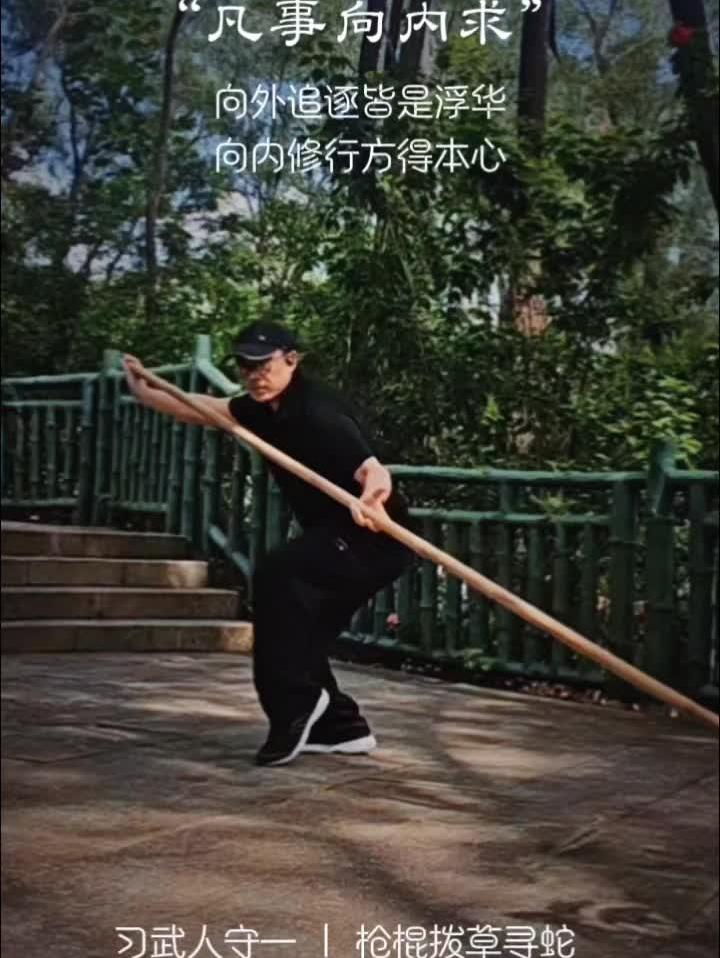 翠竹峰拳场精进 枪棍盘身 拨草寻蛇单式  没有腰胯合一的整，拨草寻蛇单式单操，仅仅是断层胳膊上的劲儿