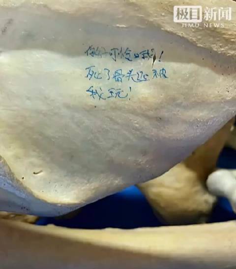 #把大体老师遗骨当玩物配当医生吗##医学生在大体老师骨骼上写轻浮文字##大体老师被这样对待谁还愿捐献
