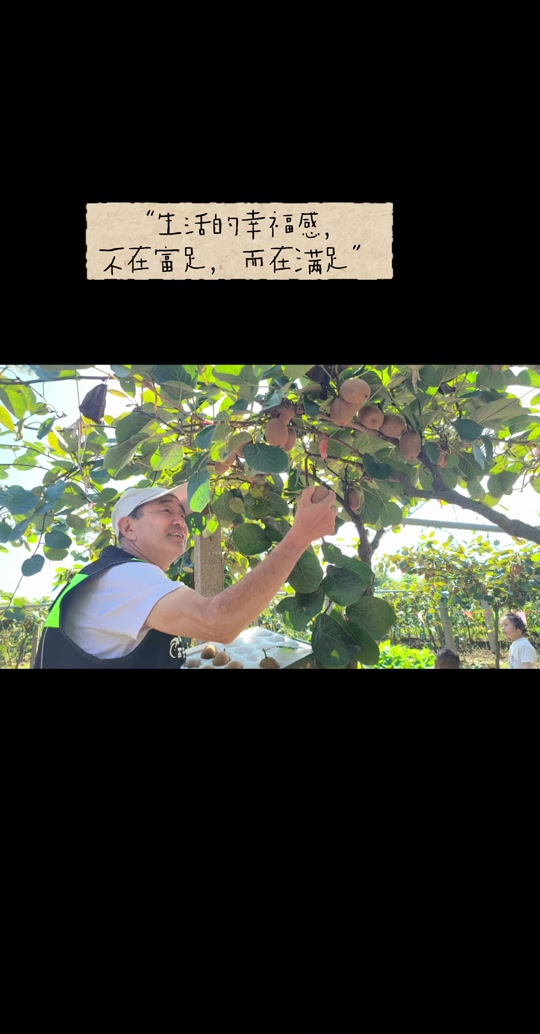 玩法合伙人计划