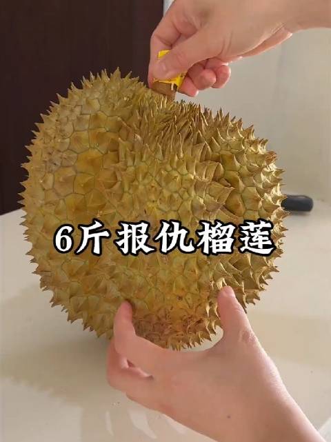 #一分钟精选视频扶持计划#  买榴莲真的就像开盲盒！！你买的榴莲打开里面是橡皮泥，我买过一个榴莲以为