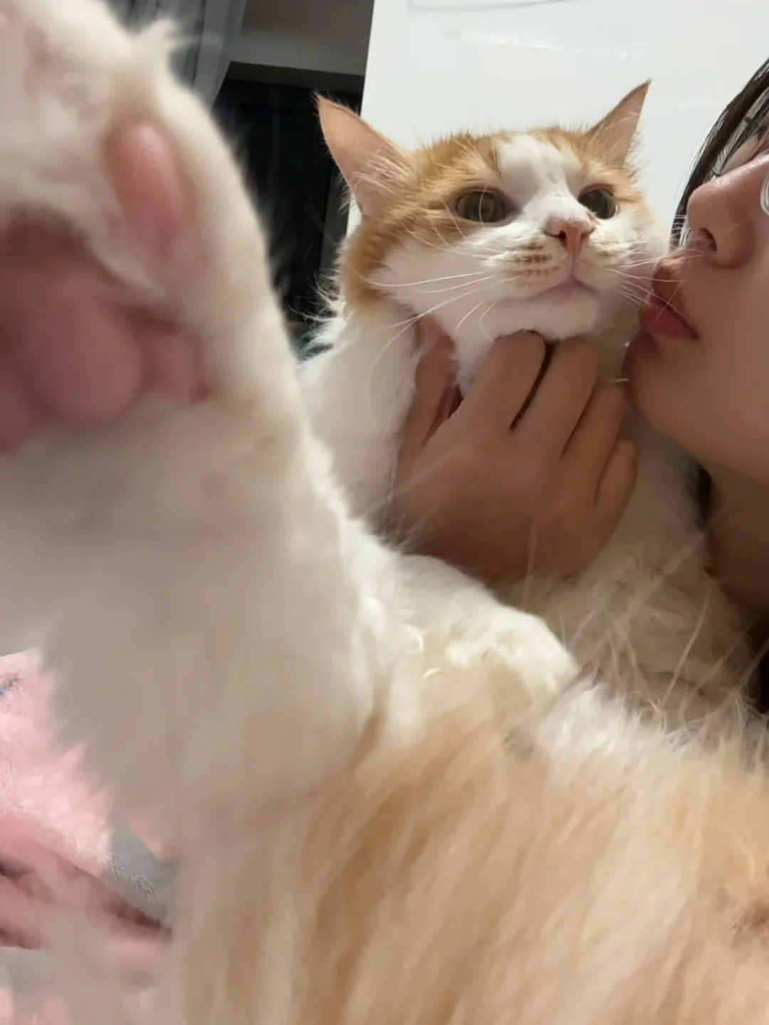 小咪高歌一首