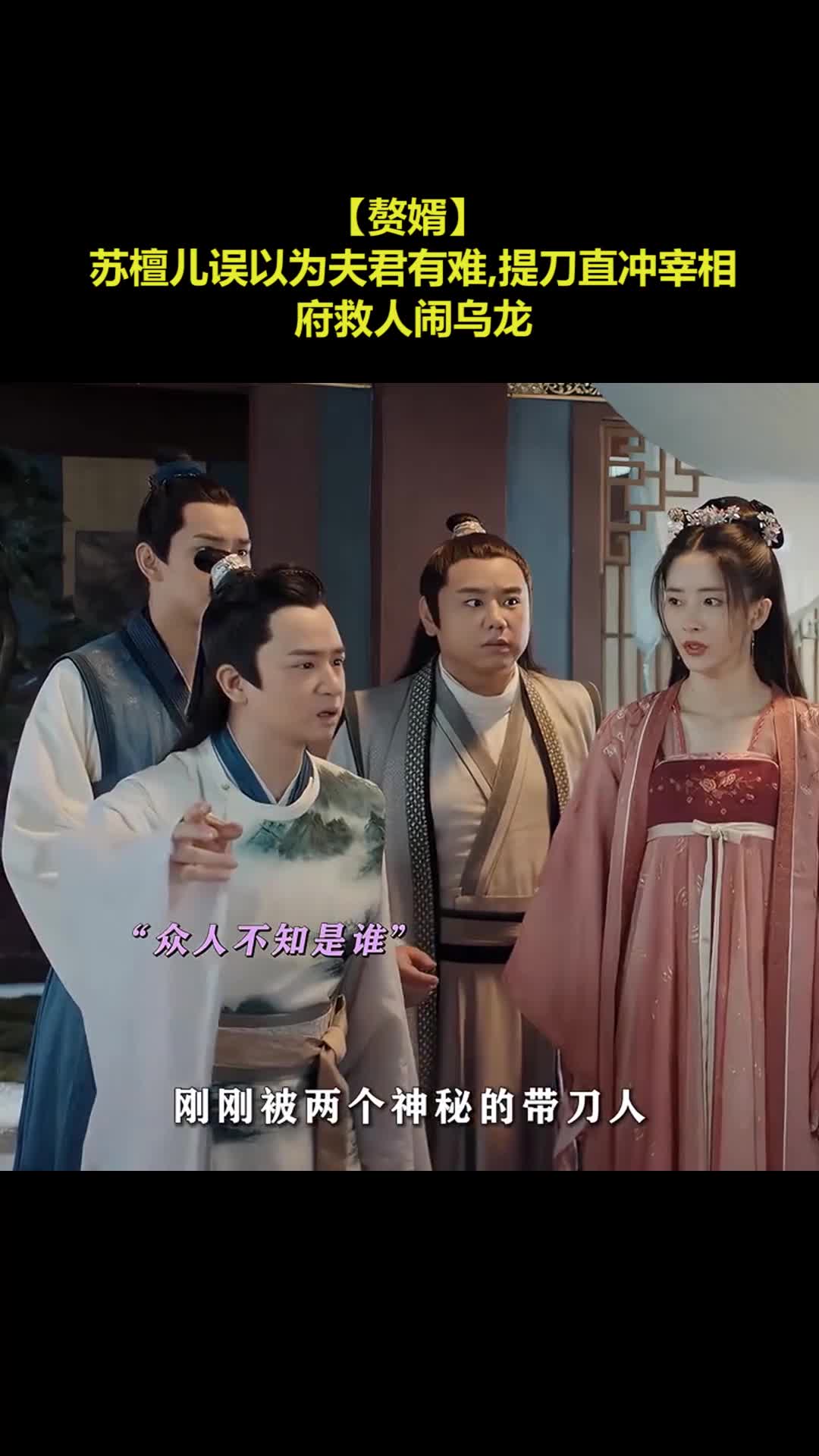 【赘婿】 苏檀儿误以为夫君有难,提刀直冲宰相府救人闹乌龙