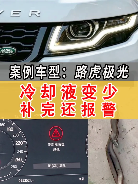 缺防冻液别光补！路虎车主踩过的坑，你别踩⚠️
