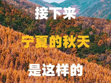 接下来宁夏的秋天是这样的，想和谁去就 🍂