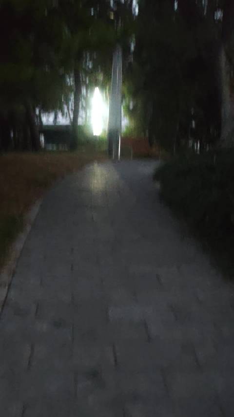 #我的旅行碎片# 清晨六点的公园，路灯还未熄灭
