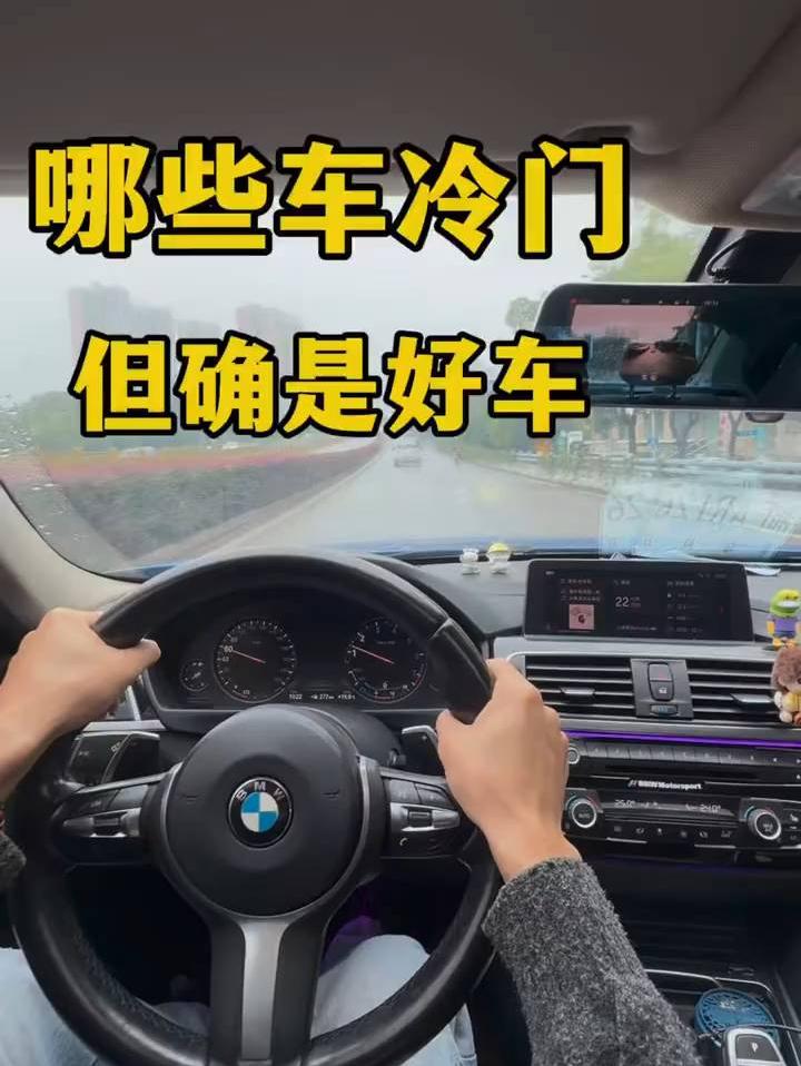 冷门但好车，推荐给你！