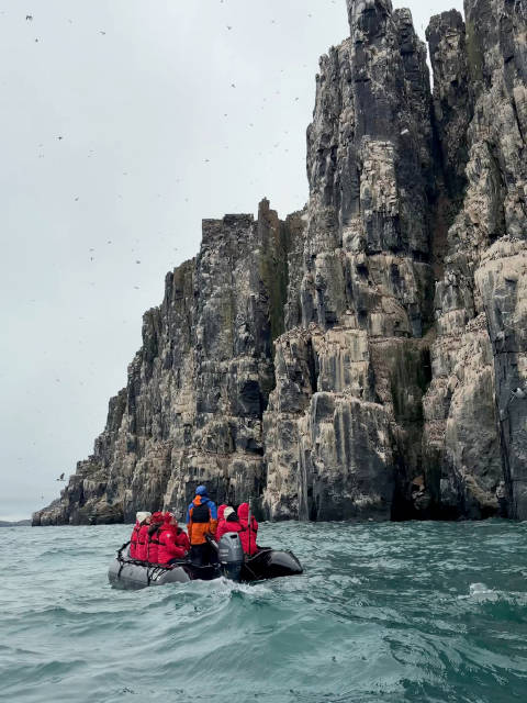 第四天， 一早登橡皮艇去看北极鸟，越来越接近峭壁时，浪越来越大，铺天盖地的海鸭在海里，在天上，密密麻