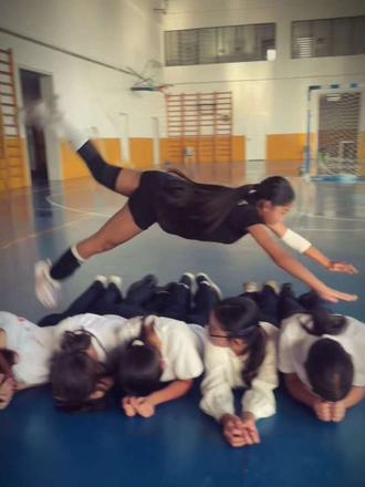 fly
