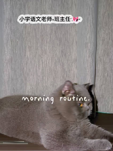 不敢想这就上班了😭  ​​​