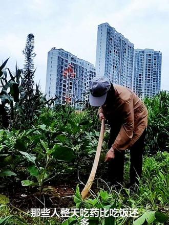 玩发大人计划真实分享用记录人生