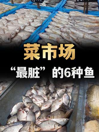 菜市场“最脏”的6种鱼，寄生虫扎堆，摊主自己都不碰 （1）