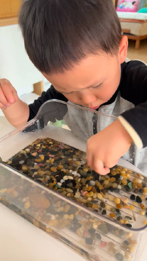 扒乌龟🐢缸上抓鱼玩[doge] #张家齐被吐槽最不喜欢这个运动员太高调了#应该多向她学习应变抗压能力