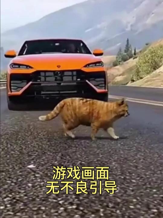 假设，你在GTA里是一只猫，拦路会被揍吗？