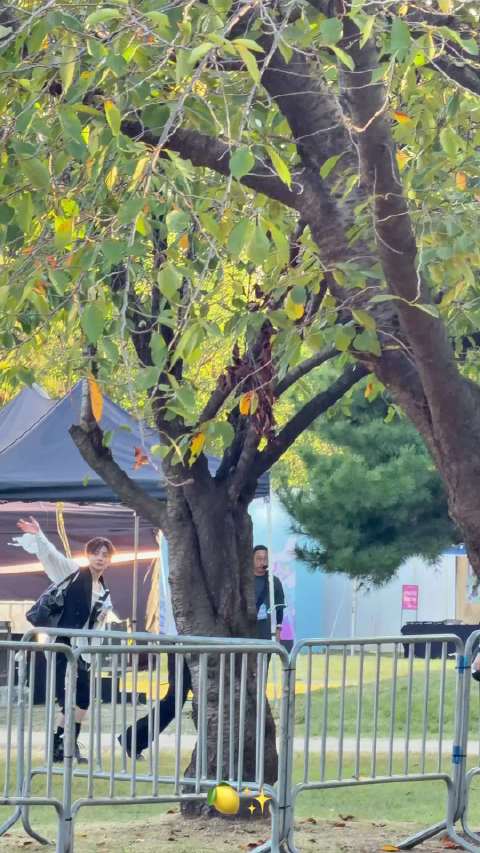 #沅信引力[超话]#   x cr anxinlemon 他两一起拜拜 😂 去哪儿了 回洞房吗 （不
