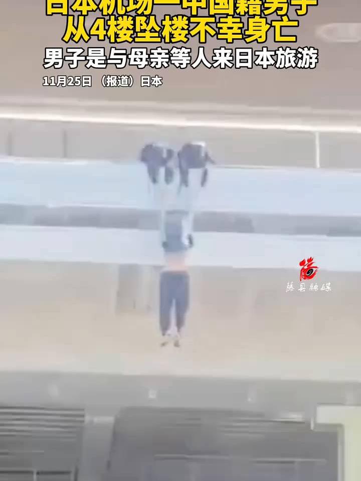 头条视频激励企划