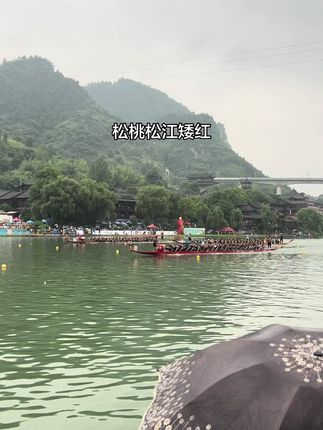 太快了吧