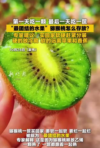 第一天吃一颗 最后一天吃一筐，“最团结的水果”猕猴桃怎么存放?专家建议:买回家软硬赶紧分装，硬的放冷
