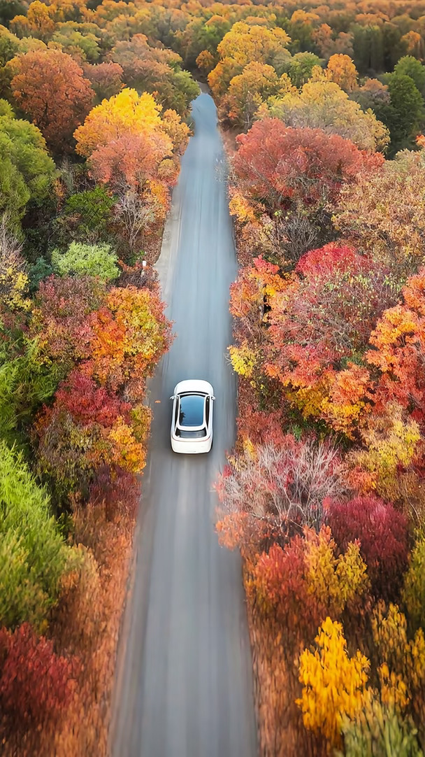 🍂抓住悠长假期 把车开进山野 🚗奔赴丹东宽甸 🍁打卡天下红枫第一村 🛣️车行山间，一路被五彩林木环抱
