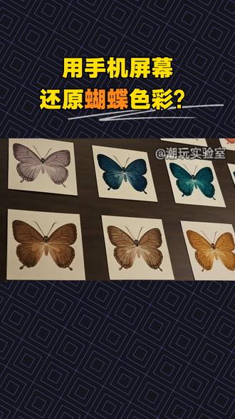 用手机屏幕还原蝴蝶色彩？天马怎么做到的？