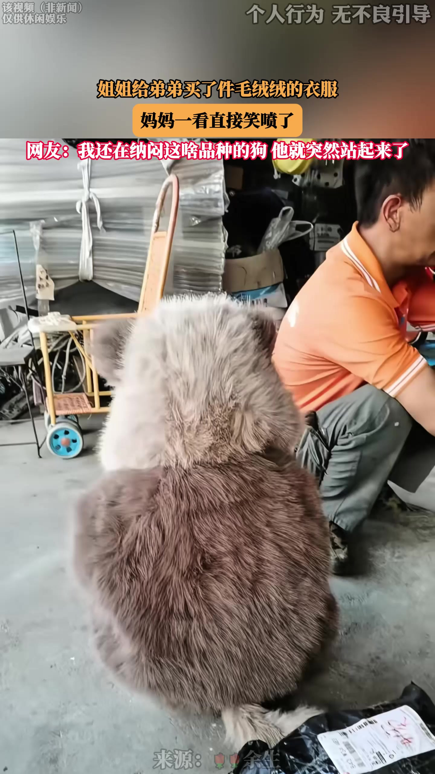 姐姐给弟弟买了件毛绒绒的衣服，妈妈一看直接笑喷了