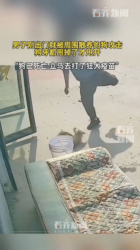 #男子刚出门遭狗扑咬持棍将其打死#【河南一#男子遭狗扑咬拼命狂甩才脱身# 后用棍子将狗打死】