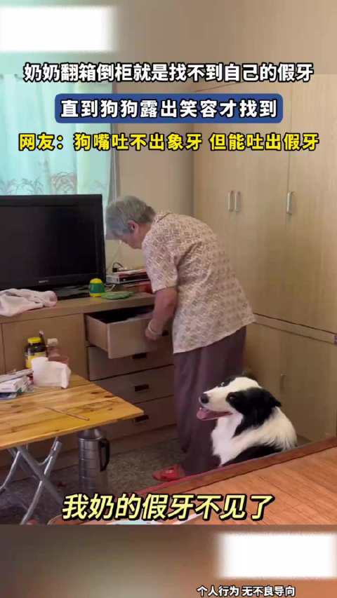 #狗狗不语只是一味露牙笑#  看起来挺眉清目秀的哈[doge][doge][doge]