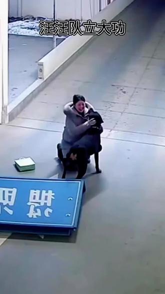 汪汪队立大功