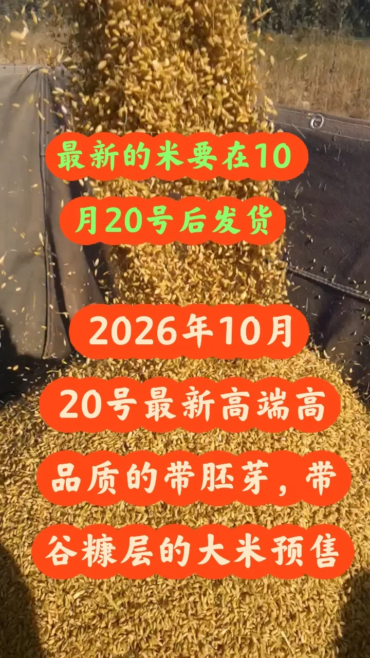 26年最新的大米预售，10月20号发货