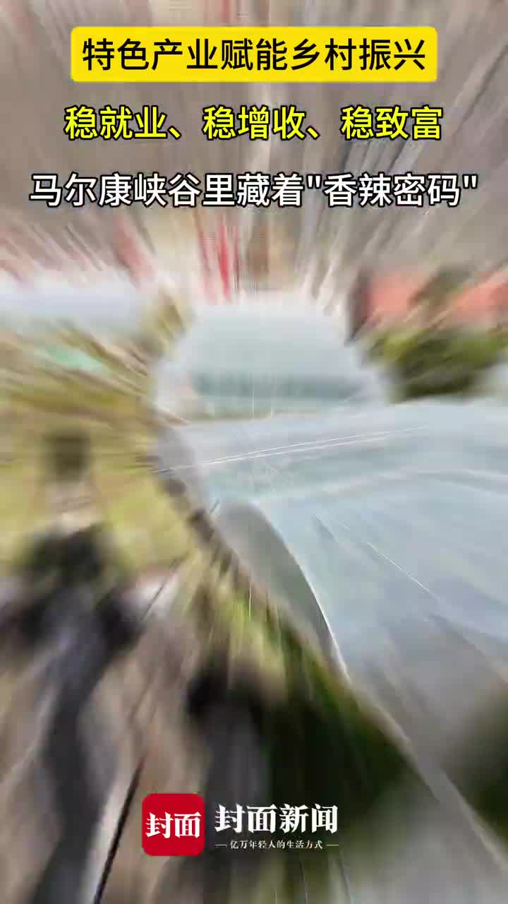 小辣椒撑起红火日子 马尔康白湾海椒产业赋能乡村振兴