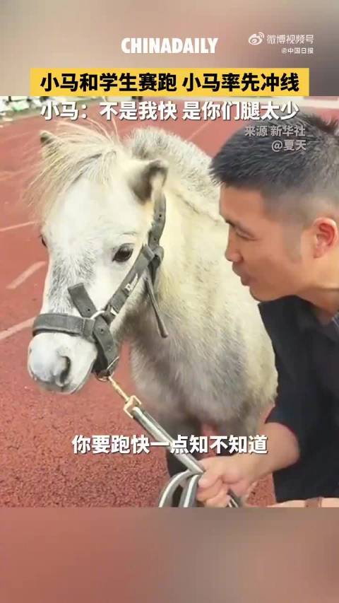 #校长回应运动会小马和小学生赛跑#【#小马和小学生赛跑稳稳夺冠#】小马和学生赛跑，小马率先冲线