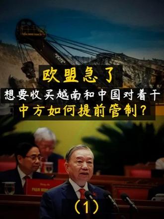 欧盟急了！想要收买越南和中国对着干，中方如何提前管制？