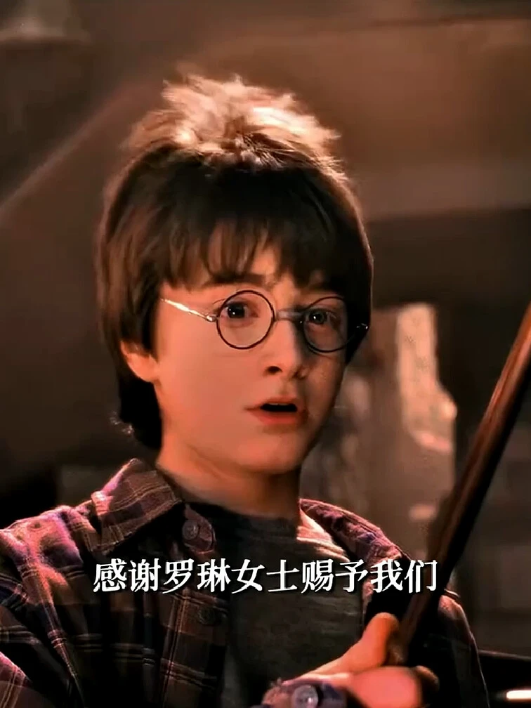 哈利波特，致我们鱼死网破的胜利