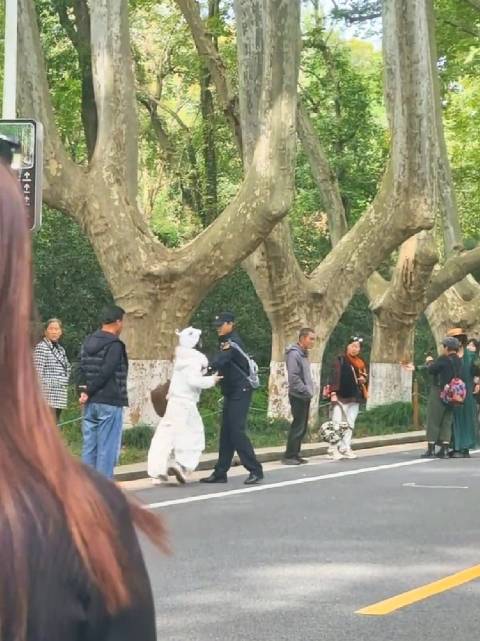 景区禁止商拍，女子手机被警察没收与执法人员斗打，游客：一开始女子就撞民警，后面被带走了，评论精选：那