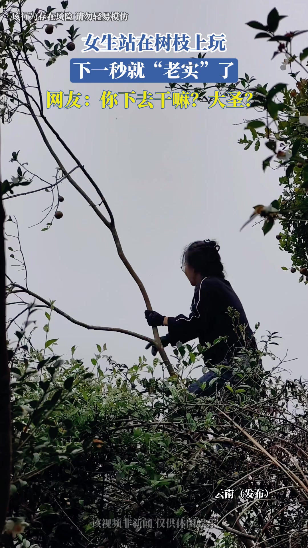 女生站在树枝上玩，下一秒就“老实”了，网友：你下去干嘛？