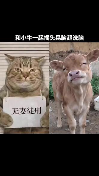 剪映让好作品告别AI感