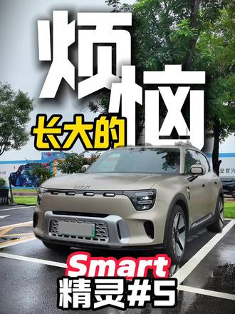 长大了就不可爱了？ Smart精灵 这个大家伙其实挺强的！