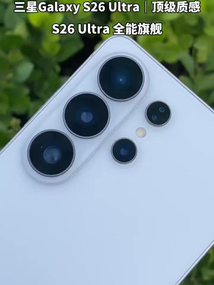 全能旗舰