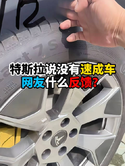 当特斯拉也来凑速成车这个热闹的时候，网友们有什么样的反馈？可以说反超比较大