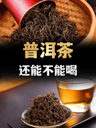 一克熟茶五亿霉菌，喝熟茶等于喝脏水？普洱茶还能不能喝？ （1）